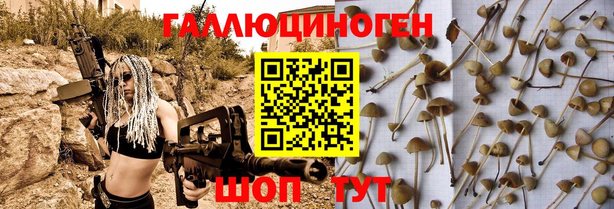 Псилоцибиновые грибы MAGIC MUSHROOMS Тара