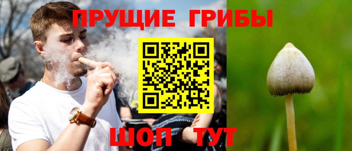 Тара  Галлюциногенные грибы Cubensis  закладки  Галлюциногенные грибы ЛСД  Вход с VPN 